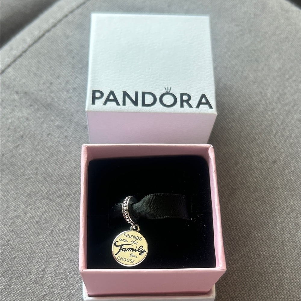 Pandora Gold and Silver Friendship Charm